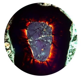 Petrographic Thin Section Petrographic Thin Section